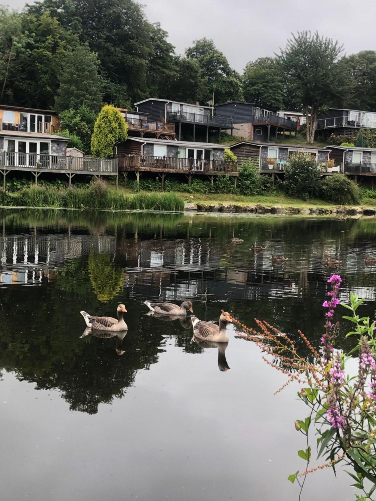 Chalet 64, Lakeside, Glan Gwna Holiday Park Caernarfon Exteriör bild